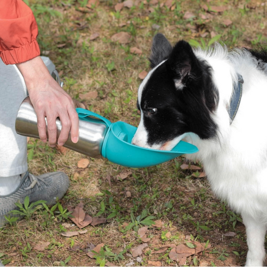 COOLEAF - STAINLESS STEEL PORTABLE DOG WATER BOTTLE
